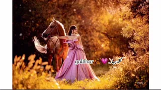 موسيقى ل اغنية                    المكان باكمله مظلم دندنها