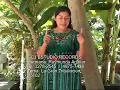 Download Lagu Lucila aguilar