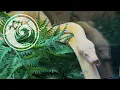 What You Need to Know About Exotic Pets - Phoenix Pets
