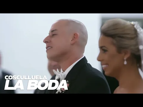 Download MP3 Cosculluela - La Boda (Video Oficial)