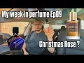 Lagu Christmas rose to layering woes - my week in perfume Ep09