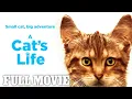 A Cat s Life 2023 Full Family Adventure Movie Fambrand