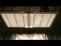 Spider Farmer SF-2000 LED Grow Light Unboxing PAR Test Heat Test