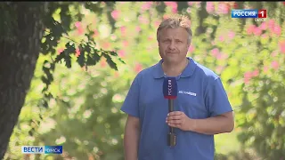 «Вести Омск», дневной эфир от 13 июля 2022 года