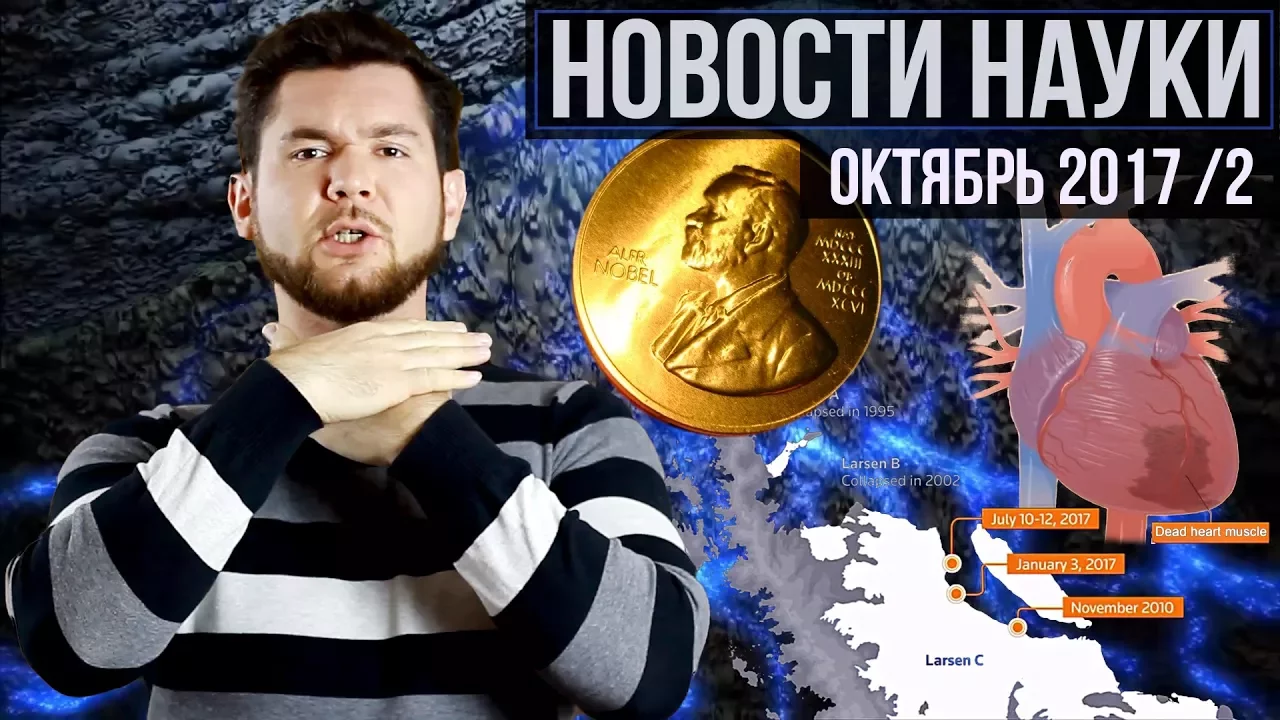 За что раздавали Нобеля, как работает новый источник энергии и другие новости на QWERTY.
