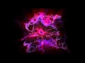 plexus experiment