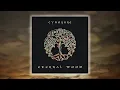 Download Lagu Cynosure - Eternal Wood (Enigma New Generation 2023) 2K💖