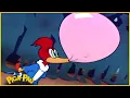 Download Lagu Pica-Pau em Português | O Grande Quem Faz Isso - 3°Temporada em Português | Desenhos Animados