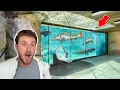 AMERICAS GREATEST EXOTIC PET STORE