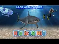 Download Lagu HIU IKAN HIU - Lagu Anak Populer - KBeeb #laguanak #shark