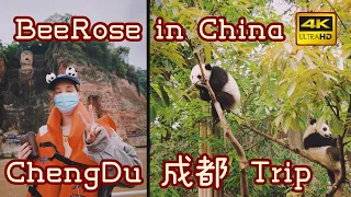 中国成都旅行视频：探访熊猫与川菜的故乡