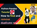 Python Pandas Tutorial 21 How to find and remove duplicate rows in pandas Aksadur Bangla