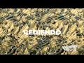 424 - Cediendo