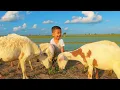 Download Lagu CACA MARICA OH CACA - MET MIJN GEIT