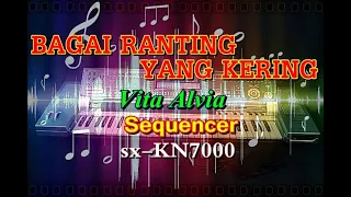 Download Vita Alvia - Bagai Ranting Yang Kering Remix [karaoke] || sx-KN7000 MP3