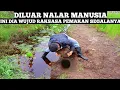Lagu Memancing MONSTER Dibawah Pokok Kelapa Tumbang Gak Nyangka Malah Dapat Makhluk Ini...!!