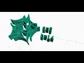 OpenSCAD Mystery Curve Animation