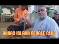 Buggs Island Beagle Club Little Pack Format 9 18 21 CAST 1 - I GOT SCRATCHED