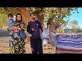 Struggling for Survival in the Mountains | Roghayeh and Abed’s Nomadic Life 🌿🔥