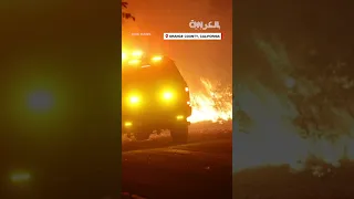 مشهد غريب يظهر امرأة تسير وسط النيران في غابة مشتعلة بأمريكا 