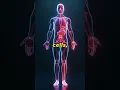Download Lagu Unveiling the Microbial You: Discover the 1:1 Human-Bacteria Balance!