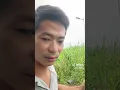 Download Lagu Bảy cô đơn đáp trả thuận gòm vlog trong drama hai cậu cháu lý do nghĩ quay video cùng nhau