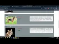Projects2 Commerce - CS50 s Web Programming with Python and JavaScript