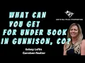What Can You Buy for Under 500k in Gunnison CO Home in Gunnison for sale