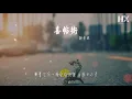 謝安琪 - 喜帖街『忘掉愛過的他 當初的囍帖金箔印着那位他』【動態歌詞Lyrics】