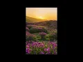 Download Lagu solitude [best part] (slowed + looped)