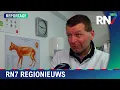 Download Lagu Drukte bij Duitse dierenartsen in grensregio  ||  RN7 REGIONIEUWS