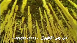 بدي يحبني      طارق الخريف  شركة الخيول ساوند دندنها