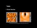 NaioAFM Tutorial 5 Optimizing an Image