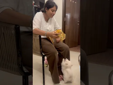 Pippo ko anu khana nhi de rhi #shorts #cutedog