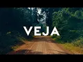 THE VEJA STORY
