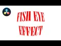 How to Create Fisheye Text Effect in DaVinci Resolve
