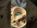 Craziest Ben And Jerry s Ever
