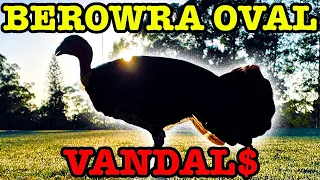 The Vandals Of Berowra Oval $10K Worth Of Damage That Has Locals VERY ANGRY 😡