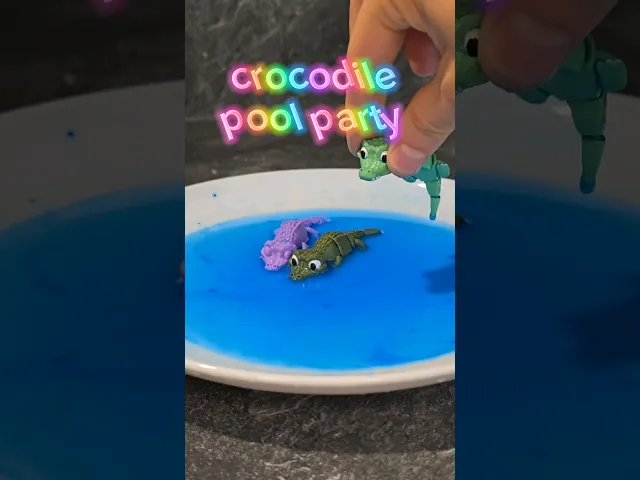 Sweet crocodile + keychain video thumbnail