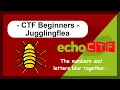 7 and 7HACK are EQUAL EchoCTF - Juggling-Flea