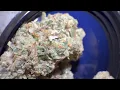 Cannabis 101 A Beginner s Guide to Marijuana