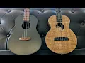 Download Lagu Blackbird Ekoa/KLOS Carbon Fibre/KoAloha Acacia Ukuleles - is wood best? #offthepeg