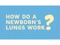 How Do A Newborn s Lungs Work