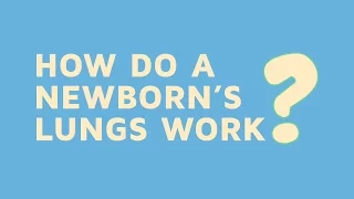 How Do A Newborn s Lungs Work
