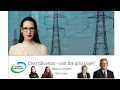 Electrification - Can the Grid Cope
