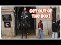 Download Lagu Packed at Horse Guards But One CLUELESS Tourist Didn't get the Memo!