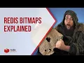 Redis Bitmaps Explained