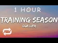 Download Lagu [1 HOUR 🕐 ] Dua Lipa - Training Season (Lyrics)