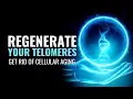 Download Lagu Regenerate Your Telomeres | Get Rid Of Cellular Aging | Stay More Healthy Young and Strong | 285 Hz
