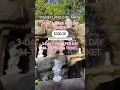 Disney Girl Math to Save on Tickets